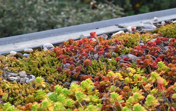 the cost of Inkford green roof installation